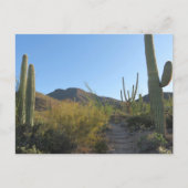 Ochtend op King Canyon Trail Briefkaart (Voorkant)