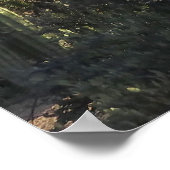 Ochtend op King Canyon Trail Poster (Hoek)