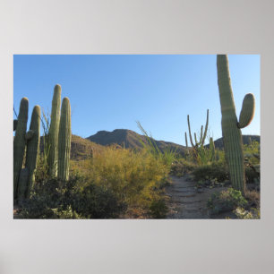 Ochtend op King Canyon Trail Poster