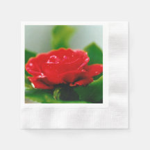 Ochtend rode roos bedekt met dauwdruppels 