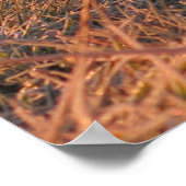 ochtend Tatras Poster (Hoek)