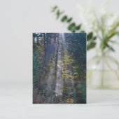 Ochtend Vermont Forest Briefkaart (Staand voorkant)