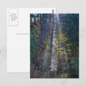 Ochtend Vermont Forest Briefkaart (Voorkant / Achterkant)