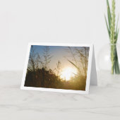 Ochtend Zonsopgang door Country Grass Kaart (Voorkant)