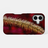 Ochtenddauw iPhone 16 Hoesje (Achterkant horizontaal)