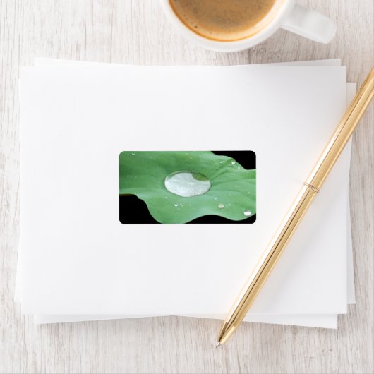 Ochtenddauw op Lilypad Etiket (Insitu)