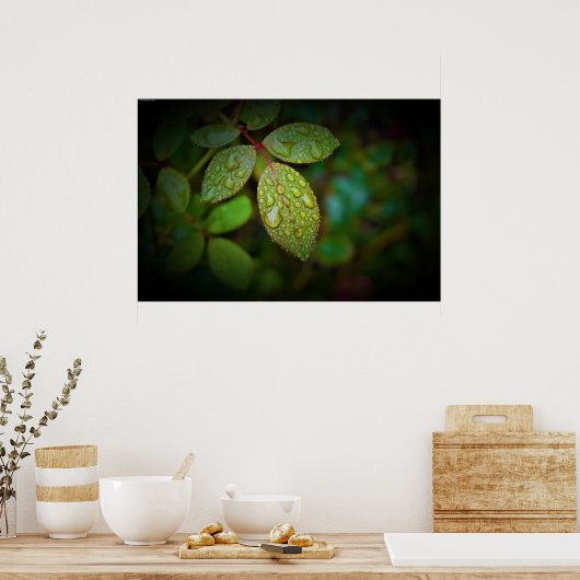 Ochtenddauw,  poster (Keuken)