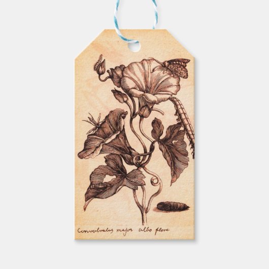 Ochtende afbeelding in glorie cadeaulabel (Voorkant)