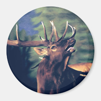 Ochtendgesprek Magneet