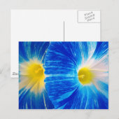 ochtendgloren briefkaart (Voorkant / Achterkant)