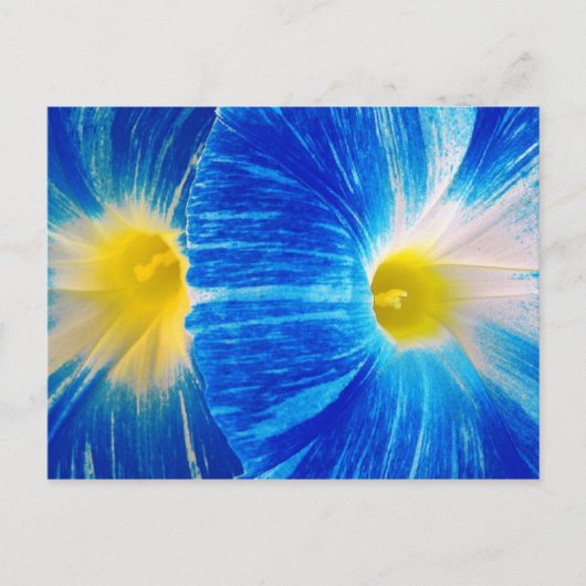 ochtendgloren briefkaart (Voorkant)