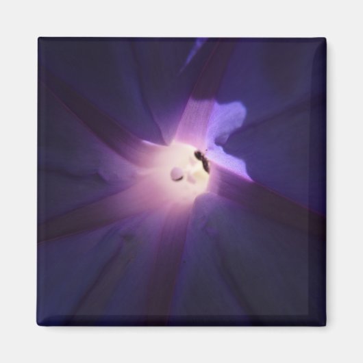 ochtendgloren magneet (Voorkant)