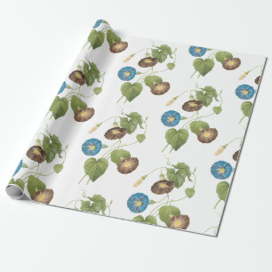 Ochtendglorie Bloem Patroon Cadeaupapier