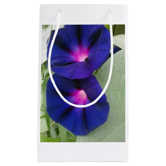 Ochtendglorie Gift Bag Klein Cadeauzakje (Voorkant)