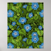 Ochtendglorie in blauw en groen poster (Voorkant)