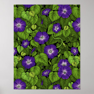 Ochtendglorie in paarse en groene poster