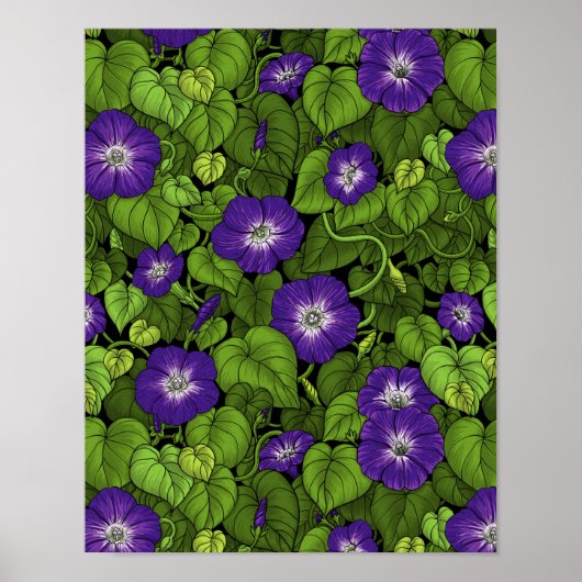 Ochtendglorie in paarse en groene poster (Voorkant)