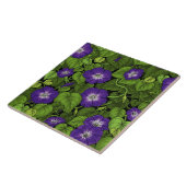 Ochtendglorie in paarse en groene tegeltje (Zijkant)