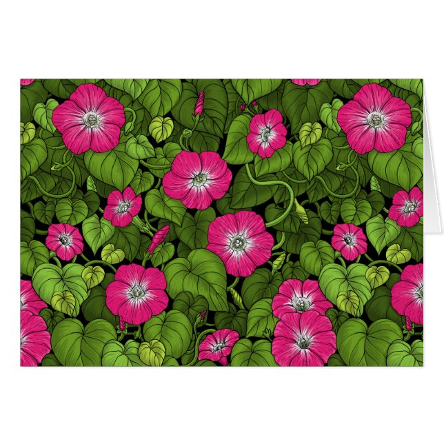 Ochtendglorie in roze en groen (Voorkant Horizontaal)