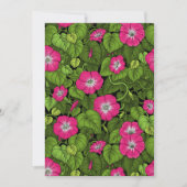 Ochtendglorie in roze en groen (Voorkant)
