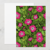 Ochtendglorie in roze en groen (Voorkant / Achterkant)