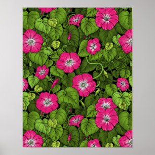 Ochtendglorie in roze en groen poster