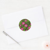Ochtendglorie in roze en groen ronde sticker (Envelop)