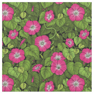 Ochtendglorie in roze en groen stof