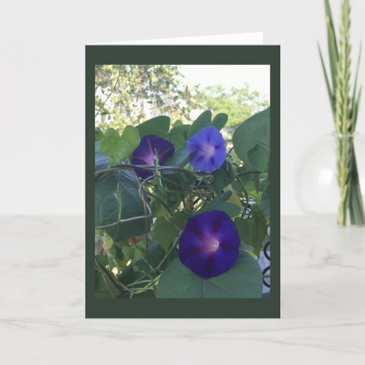 Ochtendglorie Kaleidoscoop Blank Kaart (Voorkant)