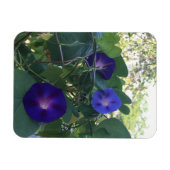 Ochtendglorie Kaleidoscoop Magneet (Horizontaal)