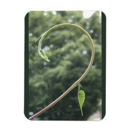 Ochtendglorie Rank en Blad Magneet