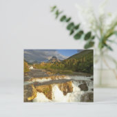 Ochtendlicht begroet Swiftcurrent Falls in de Briefkaart (Staand voorkant)