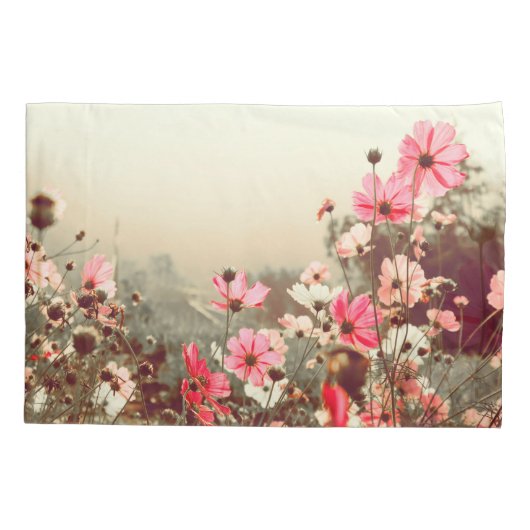 Ochtendlicht, bloeiende roze kosmos. kussensloop (Achterkant)
