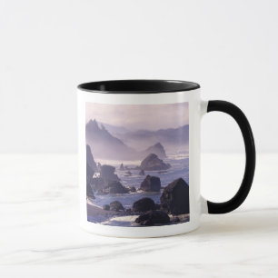 Ochtendmist langs de Oregon-kust bij Nesika, Mok