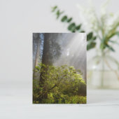 Ochtendmist op Rhododendron Briefkaart (Staand voorkant)