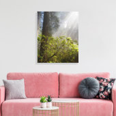 Ochtendmist op Rhododendron Canvas Afdruk (Insitu (Woonkamer))