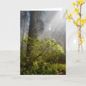 Ochtendmist op Rhododendron Kaart (Gele Bloem)