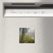 Ochtendmist op Rhododendron Magneet (Insitu (Vaatwasser))