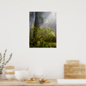Ochtendmist op Rhododendron Poster (Keuken)
