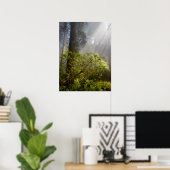 Ochtendmist op Rhododendron Poster (Thuiskantoor)