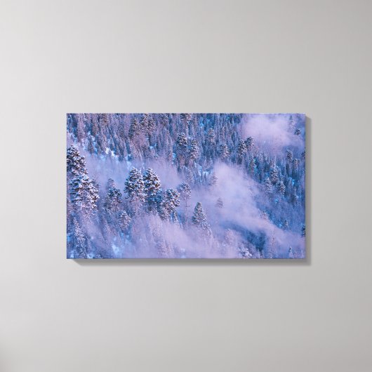 Ochtendmist (Winter) Canvas Afdruk (Voorkant)