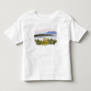 Ochtendnevel en de Percy Peaks gezien vanuit de Kinder Shirts
