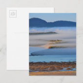 Ochtendnevel over Netarts Bay, OR Briefkaart (Voorkant / Achterkant)