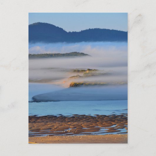 Ochtendnevel over Netarts Bay, OR Briefkaart (Voorkant)