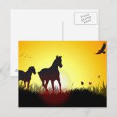 ochtendpaarden briefkaart (Voorkant / Achterkant)