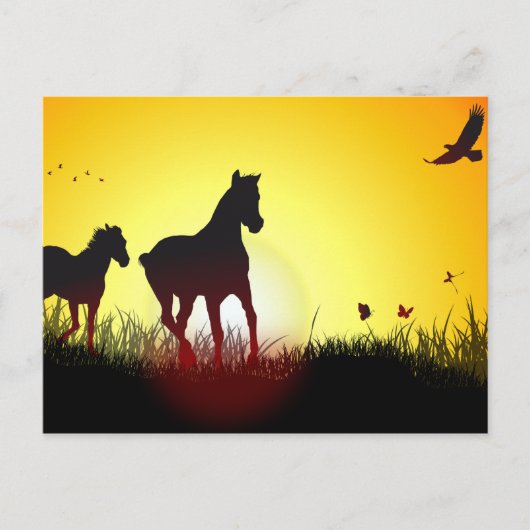 ochtendpaarden briefkaart (Voorkant)