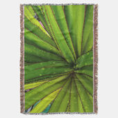 Ochtendregen op de schroefpalm deken (Voorkant Verticaal)