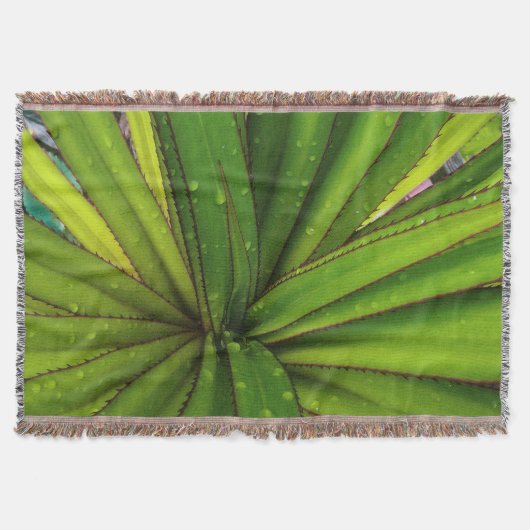 Ochtendregen op de schroefpalm deken (Voorkant)