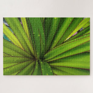 Ochtendregen op de schroefpalm legpuzzel