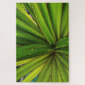 Ochtendregen op de schroefpalm legpuzzel (Verticaal)
